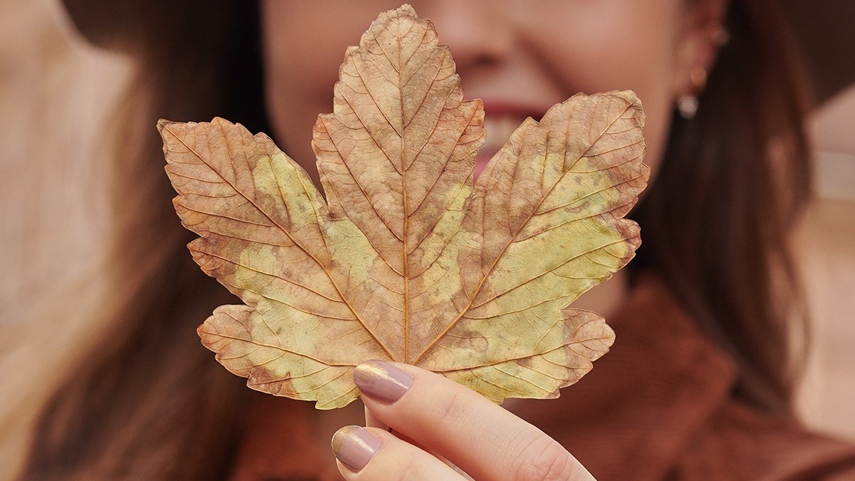 November birthday gifts and birthstones