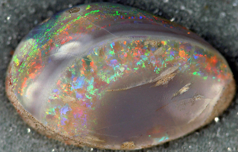 Image of an opalised fossil to illustrate a blog on opals and october birthstone jewellery