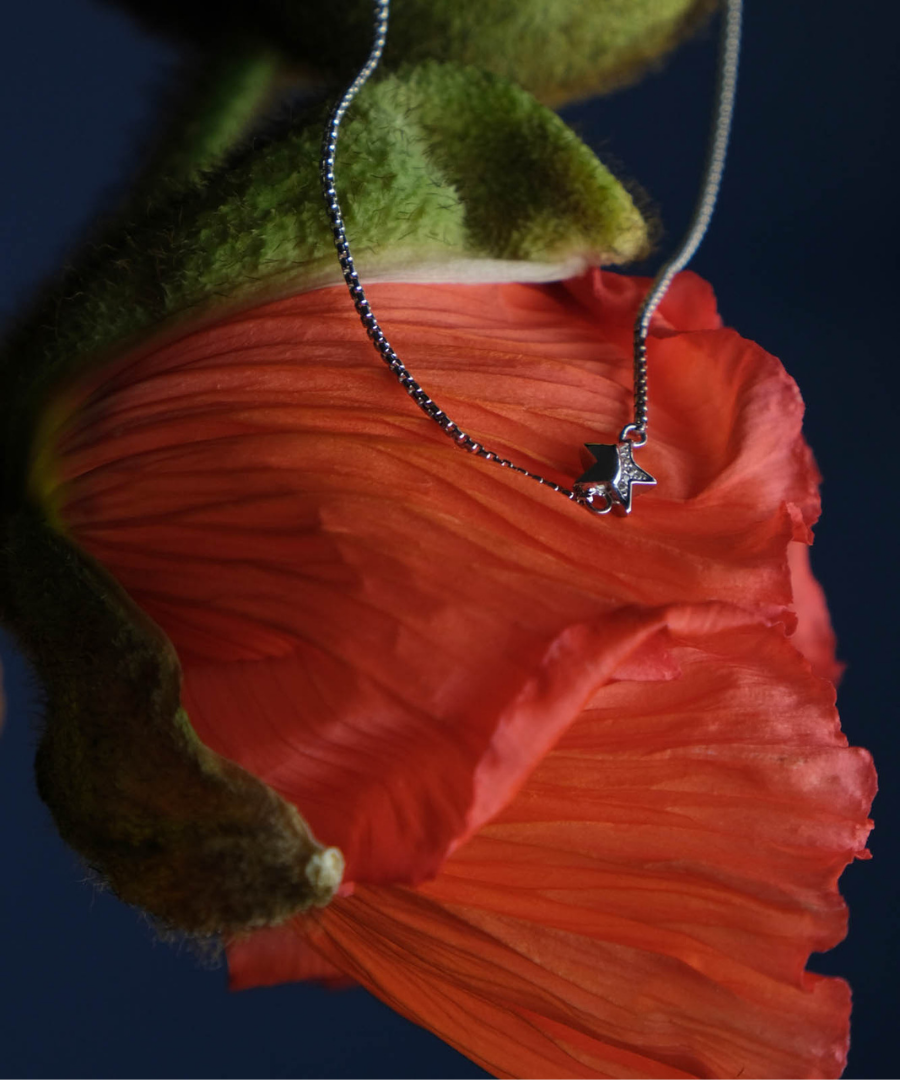 Photograph of a bracelet by Kit Heath which is balanced on a poppy. The bracelet is silver and has a single star charm.