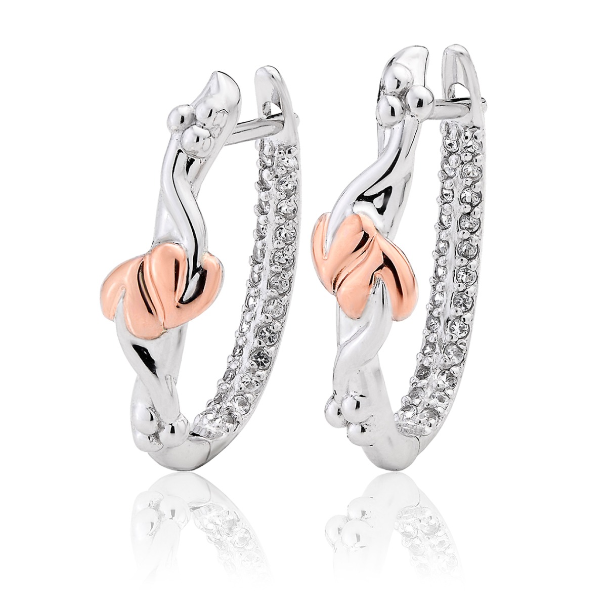 Clogau Tree Of Life Earrings 3STOLHHE