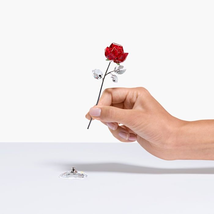 Buy Swarovski Crystal Flower Dreams, Red Rose Online in UK