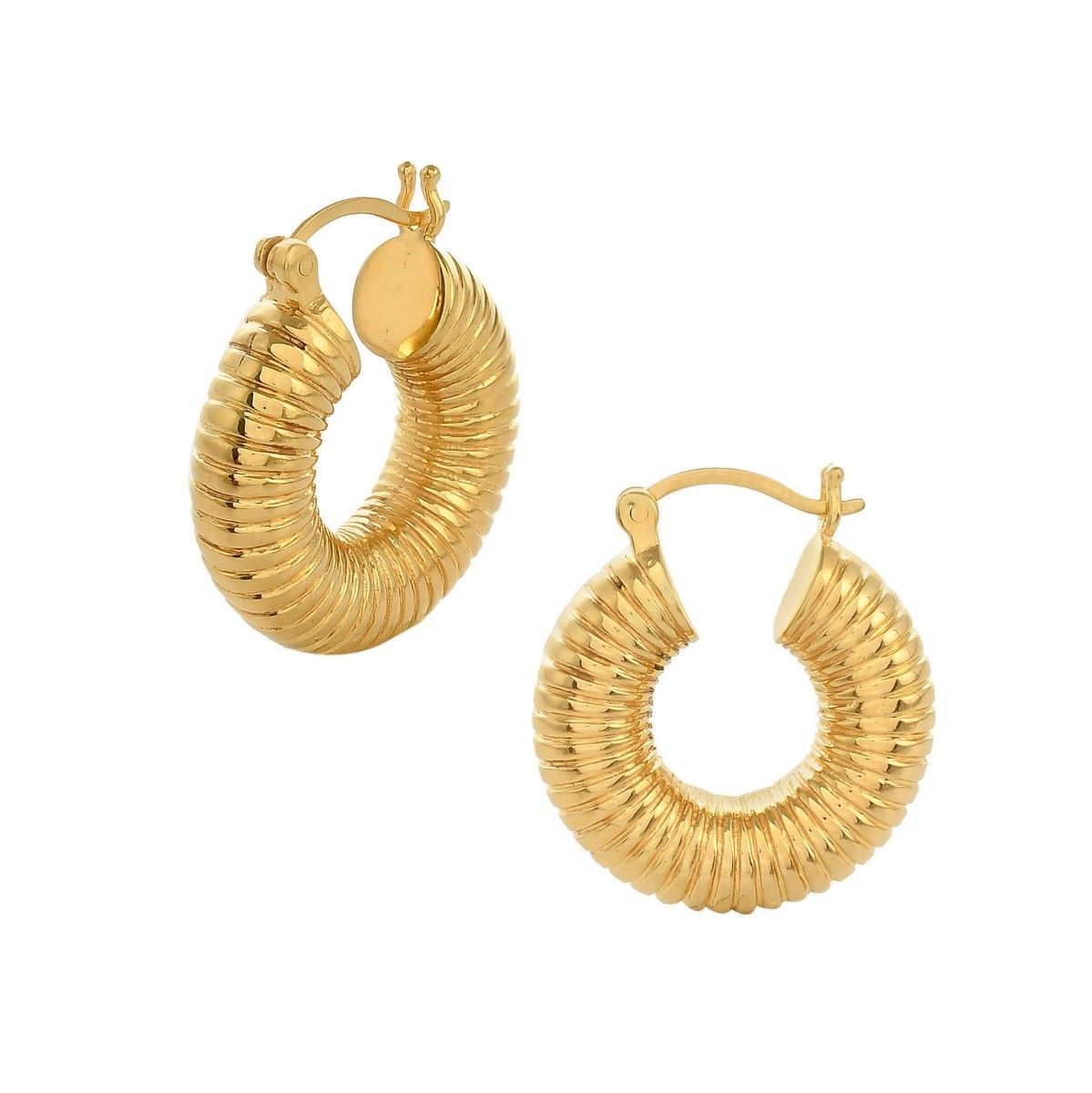 Buy Shyla London Monica Ribbed Hoop Earrings Online in UK