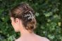 Ivory & Co Wintersweet Hair Clip