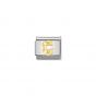 Nomination Gold and Zirconia Classic Letter Charm - C