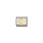 Nomination Gold and Zirconia Classic Letter Charm - G