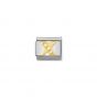 Nomination Gold and Zirconia Classic Letter Charm - X