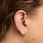 PDPaola Vivi Hoop Earrings - AR01-B90-U