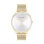 Calvin Klein Timeless Mesh Gold Watch 25200003