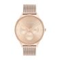Calvin Klein Timeless Mesh Rose Gold Watch 25200102