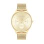 Calvin Klein Timeless Mesh Gold Tone Watch 25200103