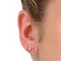 Clogau Tree of Life Stud Earrings 3STOLSE03