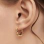 PDPaola Mini Magma Hoop Earrings - AR01-C27-U