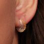 Kit Heath Essence Radiance Golden Small Stud Hoop Earrings  41151GRP