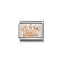 Nomination Classic Rose Gold and Zirconia Crown Charm 430305_24