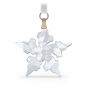 Swarovski Crystal Star Ornament 