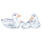 Swarovski Crystal Peaceful Country Ducks - 5723846