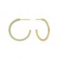 Ania Haie Sage Enamel Gold Hoop Earrings E028-06G-G