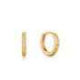 Ania Haie Rope Huggie Hoop Earrings - Gold - E036-03G