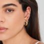 Ania Haie Rope Bar Stud Earrings - Gold - E036-01G