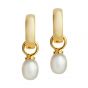 Jersey Pearl VIVA Earrings, Gold VIVAE-YG