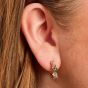 Amelia Scott Lottie Cluster Hoop Earrings with Flamingo Zirconia Gold