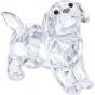 Swarovski Crystal Labrador Puppy, Standing, Clear 5400141