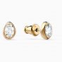 Swarovski Shell Cowrie Earrings - Gold Tone Plated - 5520474