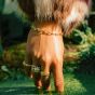 Daisy Shrimps Chunky Chain Bracelet - Gold SHBR001_GP