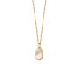 Daisy Isla Mother Of Pearl Necklace - Gold SN05_GP
