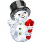 SNOWMAN WITH CANDY CANE 5464886 