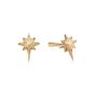 Daisy Super Star Stud Earrings - Gold ST07_GP