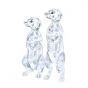 Swarovski Crystal Meerkats