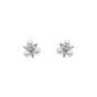 Ivory & Co Waterlily Pearl Crystal Stud Earrings - waterlilypearlearrings