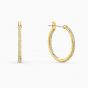Swarovski Gold-Tone Shine Wave Pierced Earrings 5524202