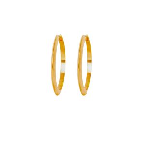 IX Berta Matte Hoop Earrings  - Gold DMB0345GD