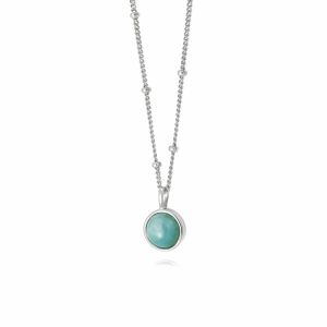 Daisy Amazonite Healing Necklace - Silver HN1003_SLV