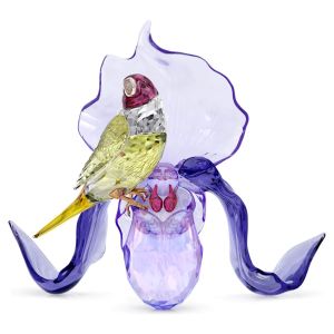 Swarovski Crystal Idyllia - Gouldian Finch and Orchid - 5675211