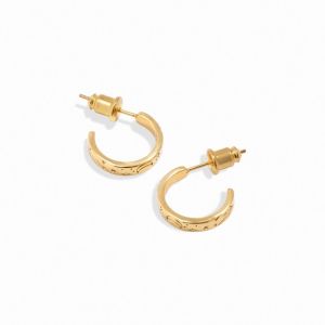 Katie Loxton Luna Waterproof Gold Hoop Earrings