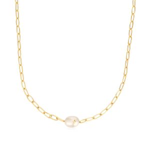 Ania Haie Gold Pearl Sparkle Chunky Chain Necklace - N043-05G