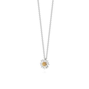 Daisy English Daisy Necklace N2001