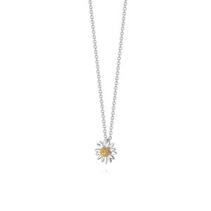 Daisy Michaelmas Daisy Necklace - Silver N6122