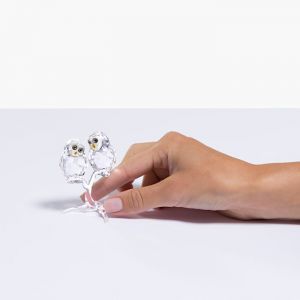 Swarovski Crystal Owl Couple 5493722