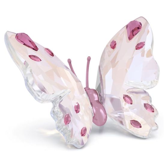 Swarovski Crystal Idyllia Butterfly - Small - 5691959