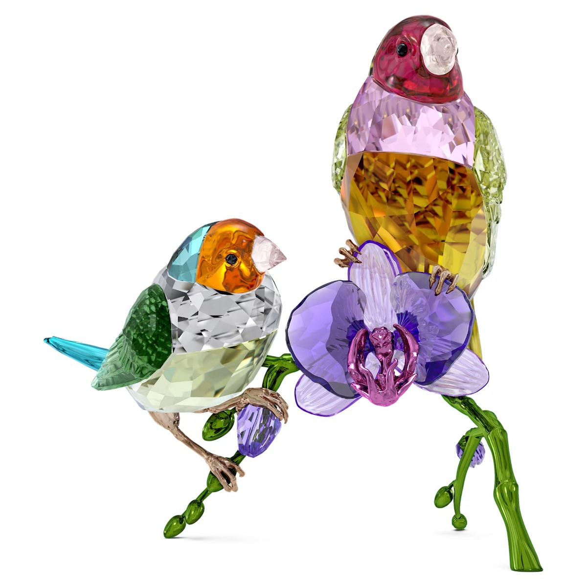 Swarovski Crystal Idyllia SCS 2024 Gouldian Finches 5670031