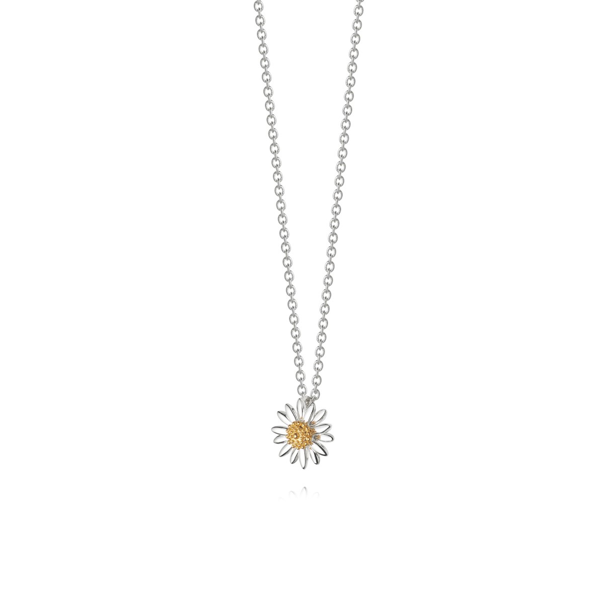 Daisy Michaelmas Daisy Necklace - Silver N6122