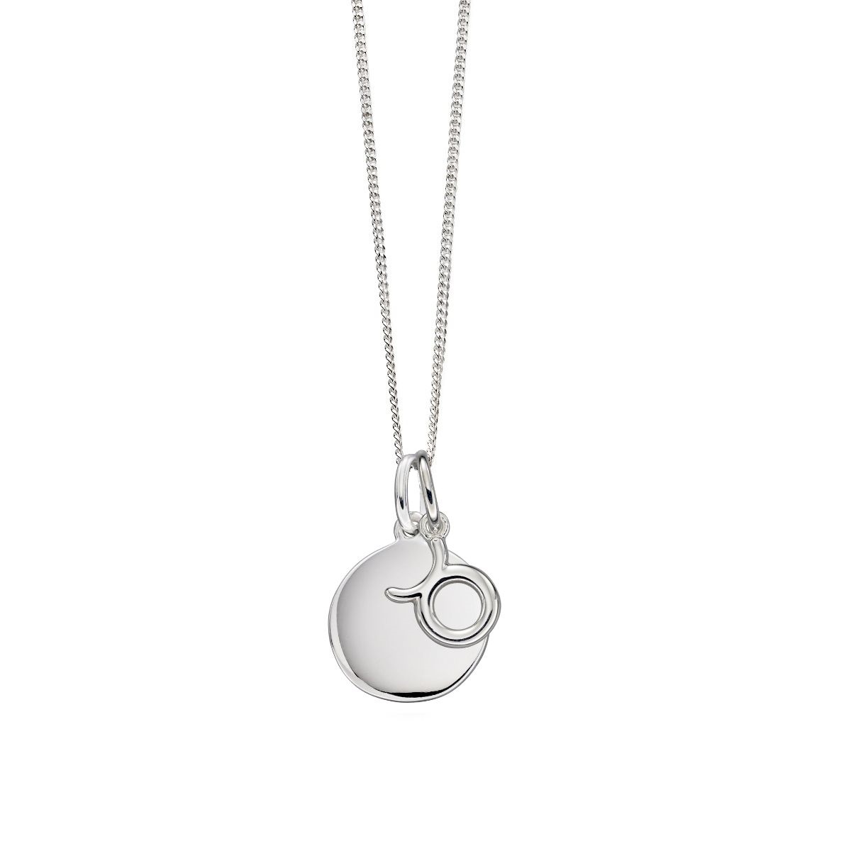 Zodiac and Disc Necklace - Sterling Silver