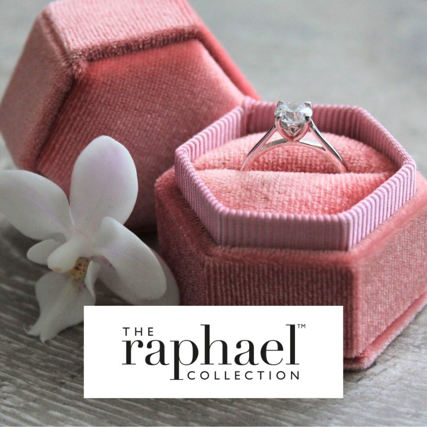 The Raphael Collection at Niche Jewellery